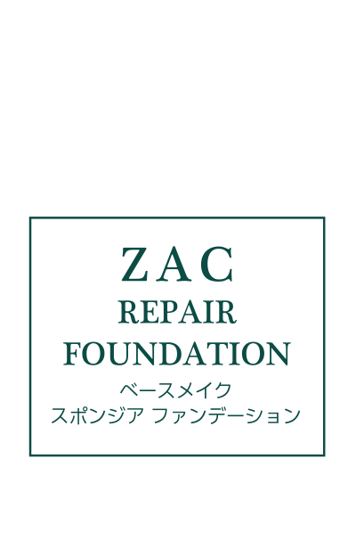 ZAC REPAIR FOUNDATION