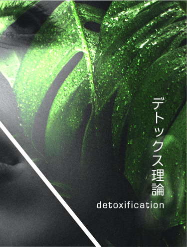 デトックス理論 detoxification